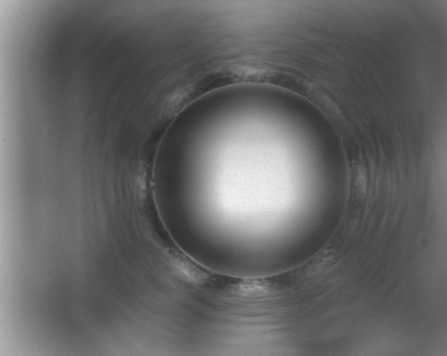 X0000065950668200603061126
