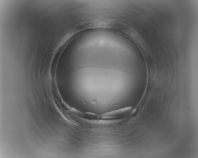 X0000065950674200603061125