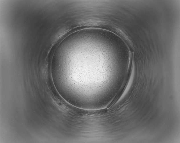 X0000065950675200603061125