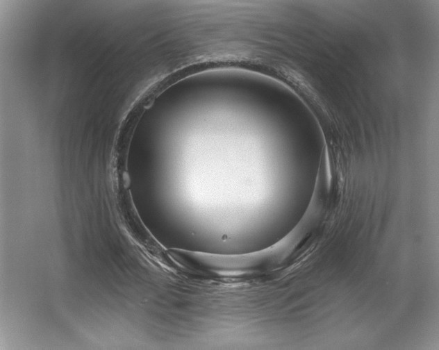 X0000065950676200603061125