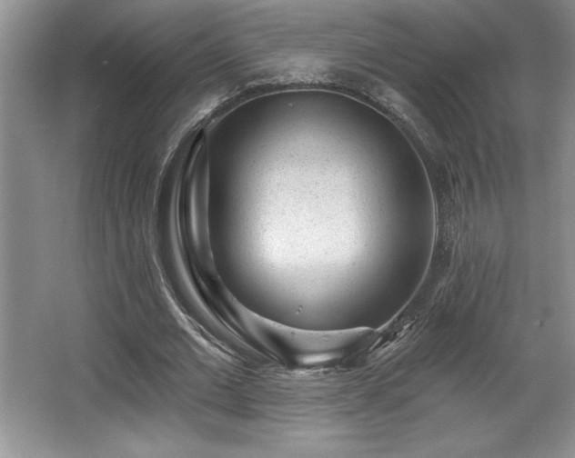 X0000065950677200603061125