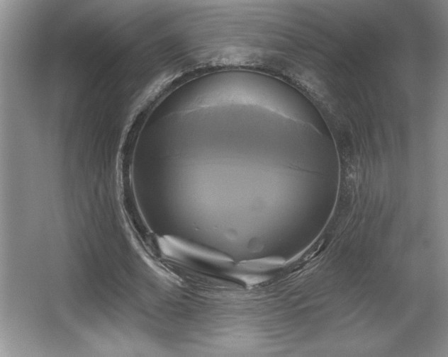 X0000065950678200603061125