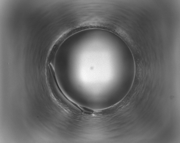 X0000065950680200603061125