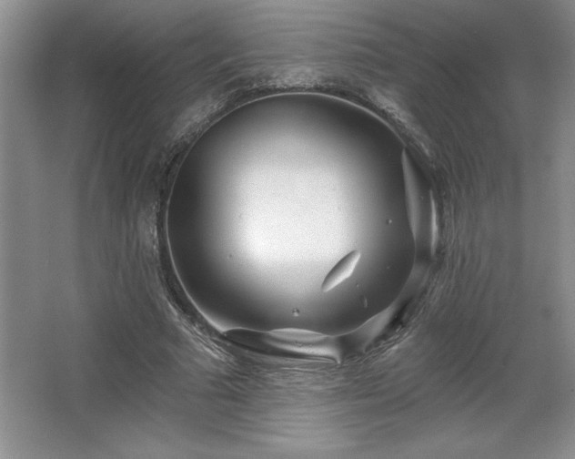 X0000065950681200603061125