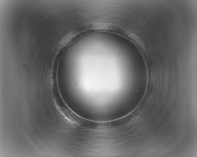X0000065950682200603061125