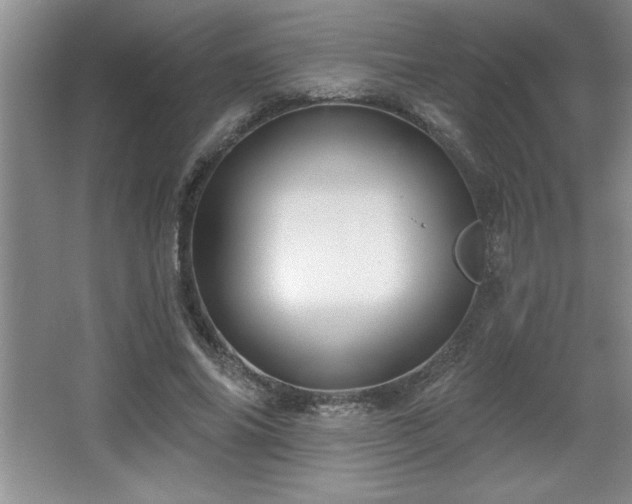 X0000065950686200603061125