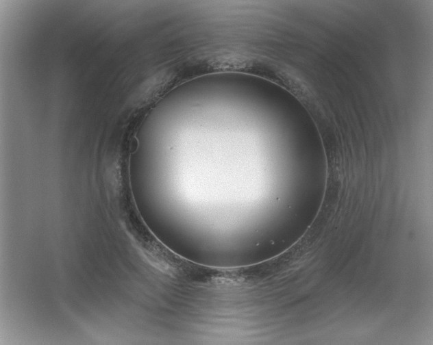 X0000065950690200603061125