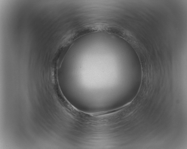 X0000065950696200603061125