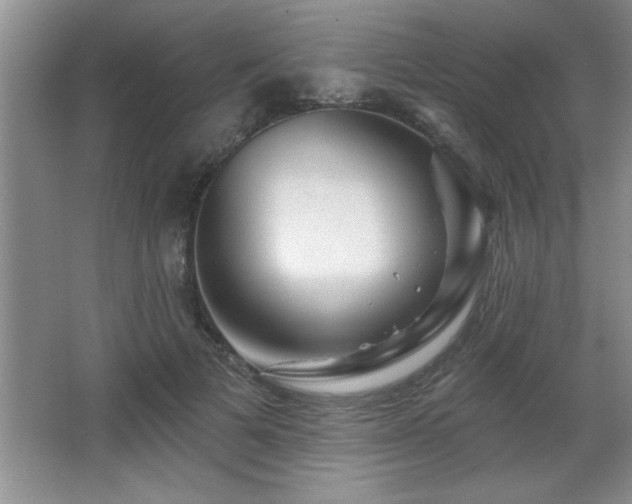 X0000065950697200603061125