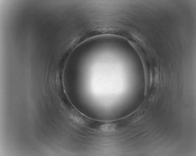 X0000065950700200603061125