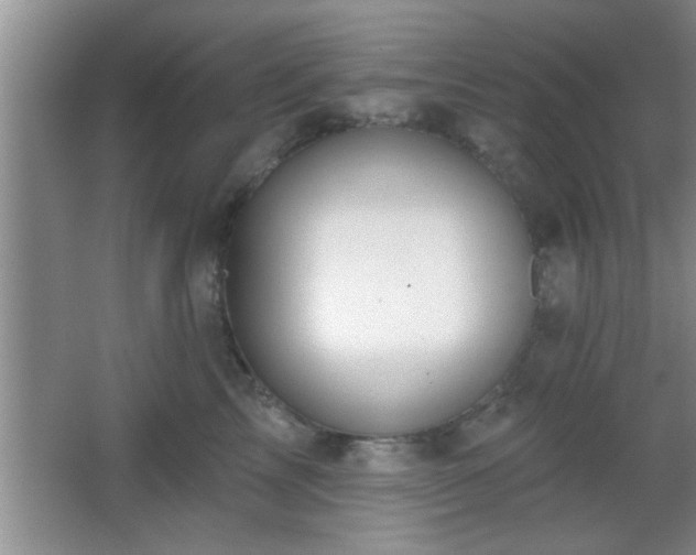 X0000065950713200603061124