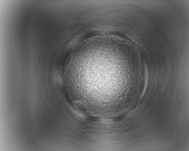 X0000065950719200603061124