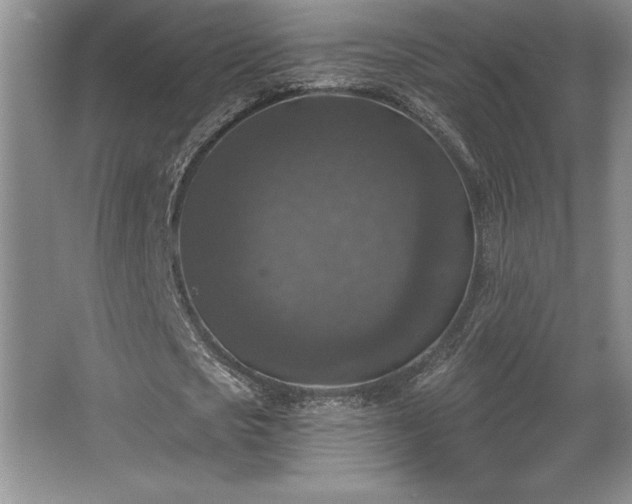 X0000065950721200603061123