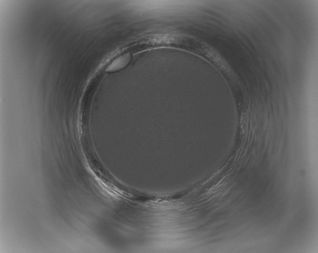 X0000065950722200603061123