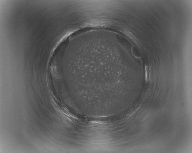 X0000065950723200603061123