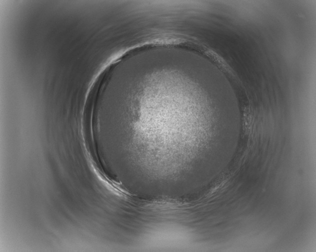 X0000065950726200603061124