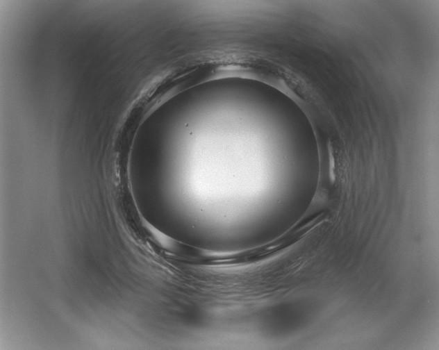X0000065950731200603061124