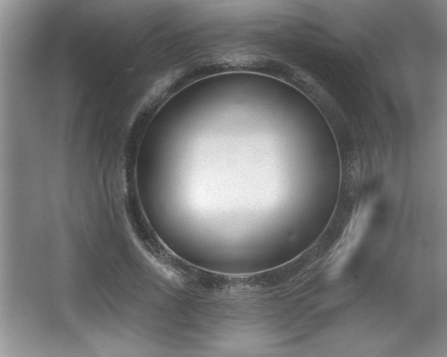 X0000065950734200603061124