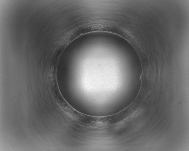 X0000065950737200603061124