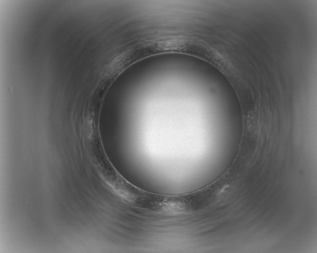 X0000065950741200603061124