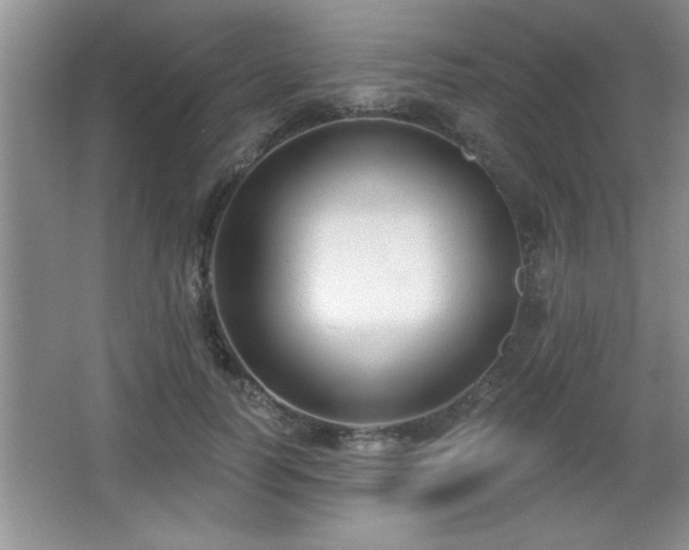 X0000065950746200603061124