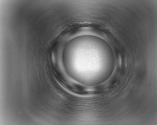 X0000065950750200603061124