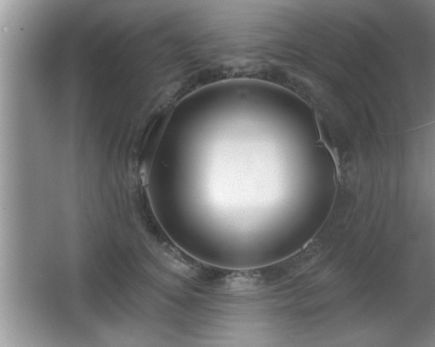 X0000065950756200603061124