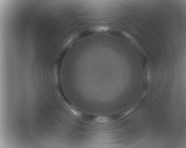 X0000065950762200603061124