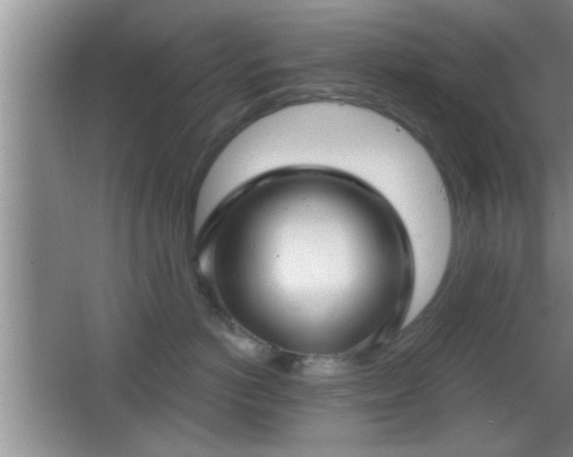 X0000065950766200603061124
