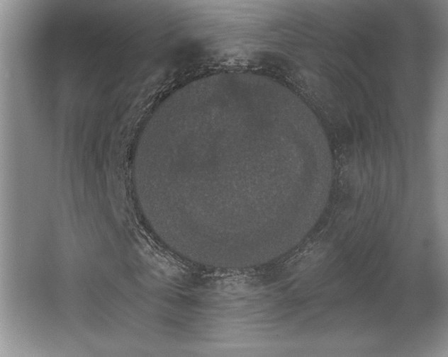 X0000065950769200603061123
