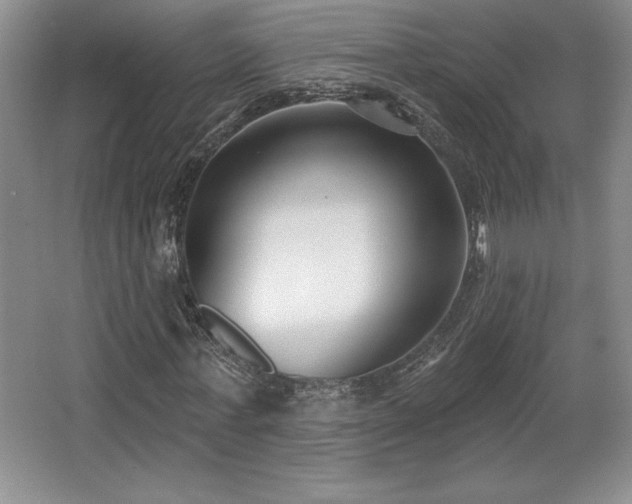 X0000065950771200603061123