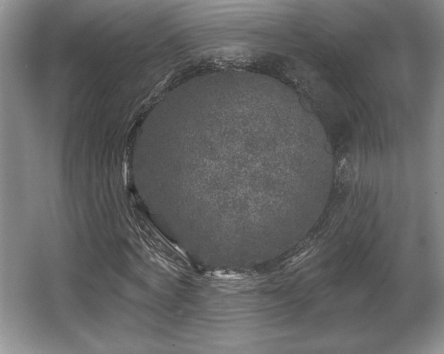 X0000065950772200603061123