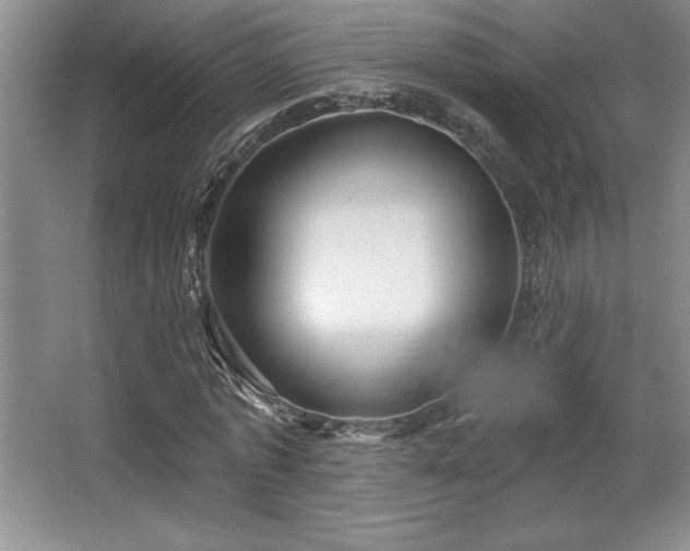X0000065950773200603061123