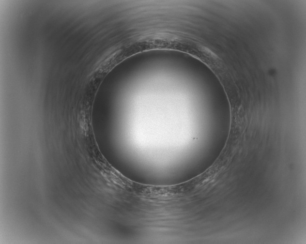 X0000065950774200603061123