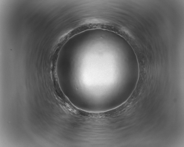 X0000065950775200603061123