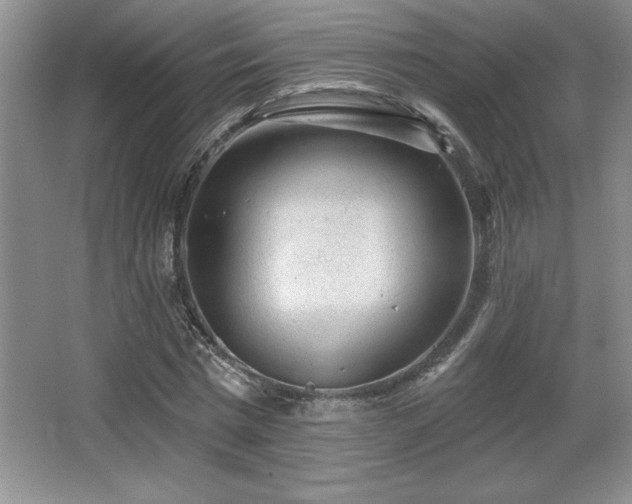 X0000065950777200603061123