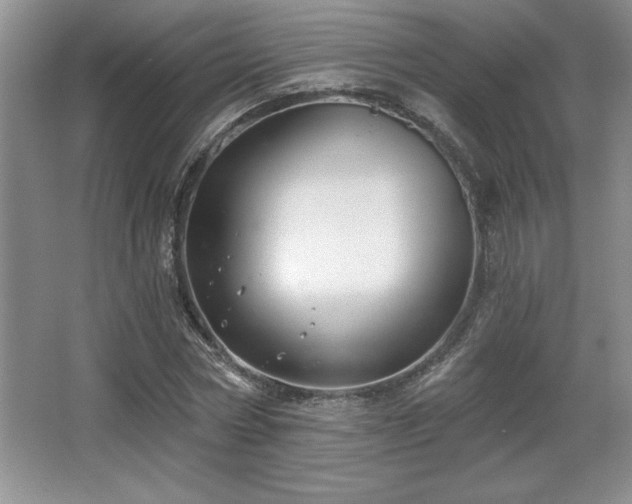 X0000065950778200603061123