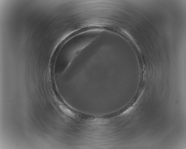 X0000065950779200603061123