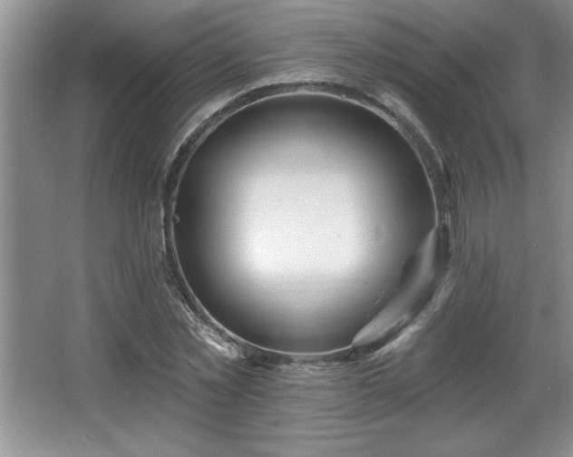 X0000065950781200603061123