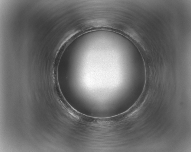 X0000065950782200603061123