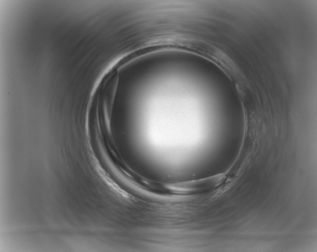 X0000065950788200603061123