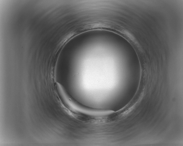 X0000065950793200603061123