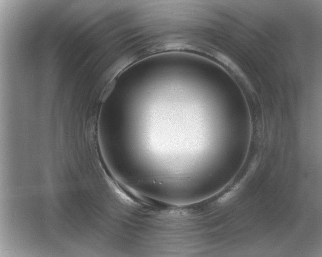 X0000065950801200603061123