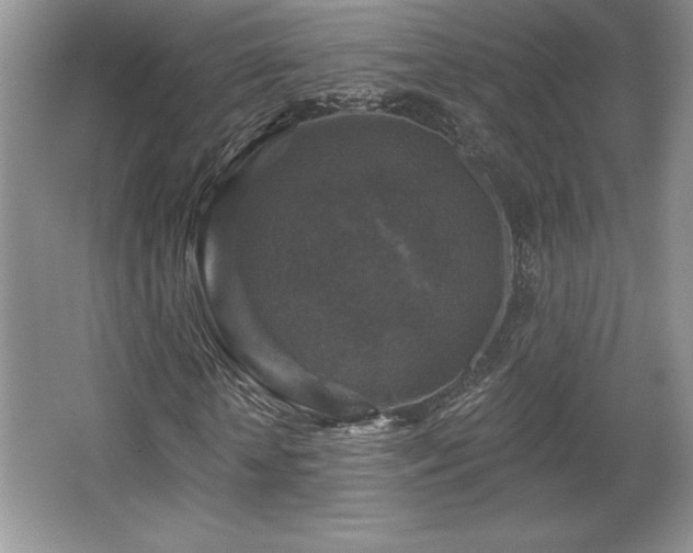 X0000065950818200603061122