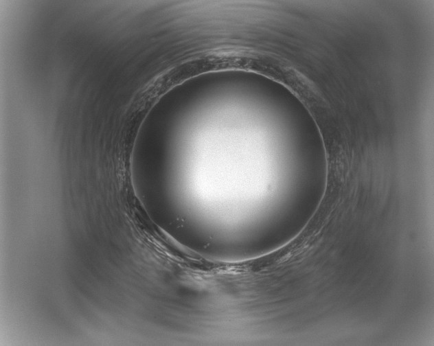 X0000065950821200603061122