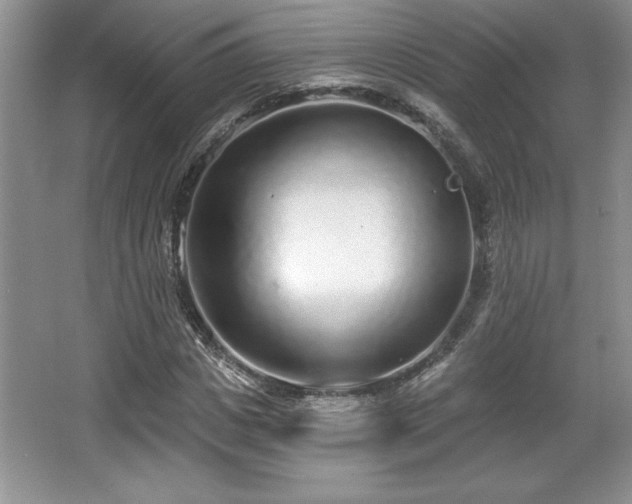 X0000065950825200603061122