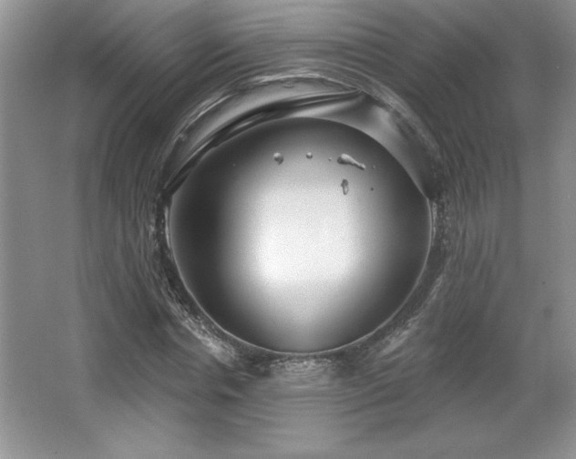 X0000065950826200603061122