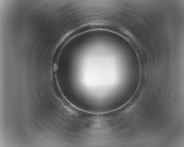 X0000065950829200603061122
