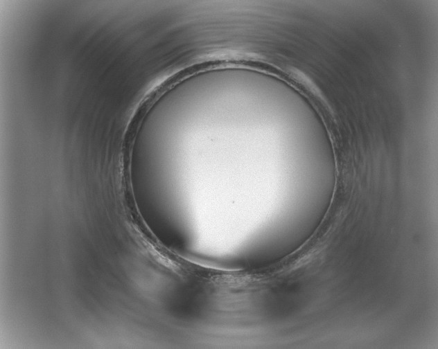 X0000065950831200603061122