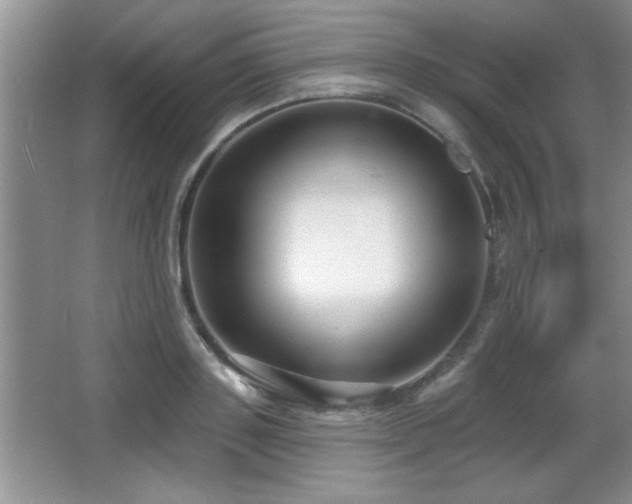X0000065950843200603061122